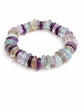 Rainbow Fuchsite Beaded Coin Shaped Bracelet New